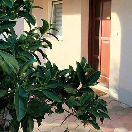 Appartement Ivona Zadar